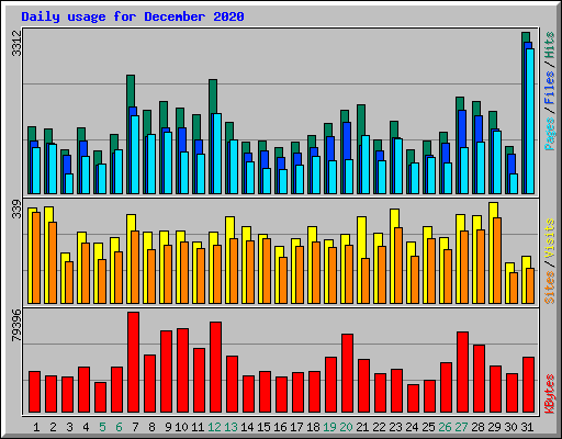Daily usage for December 2020