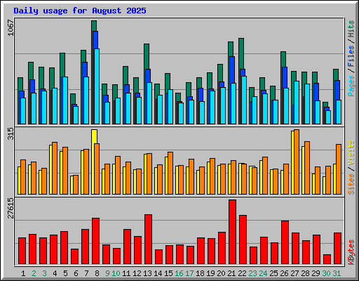 Daily usage for August 2025