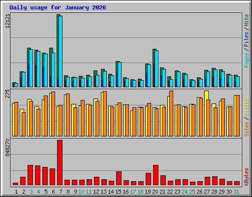 Daily usage for January 2026