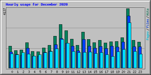 Hourly usage for December 2020