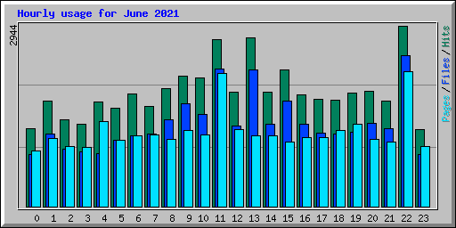 Hourly usage for June 2021