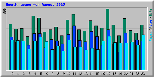Hourly usage for August 2025
