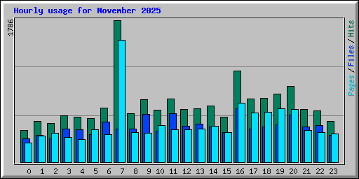 Hourly usage for November 2025