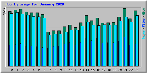 Hourly usage for January 2026