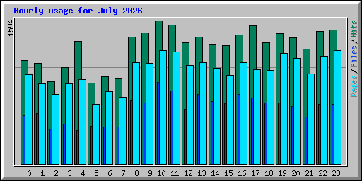 Hourly usage for July 2026